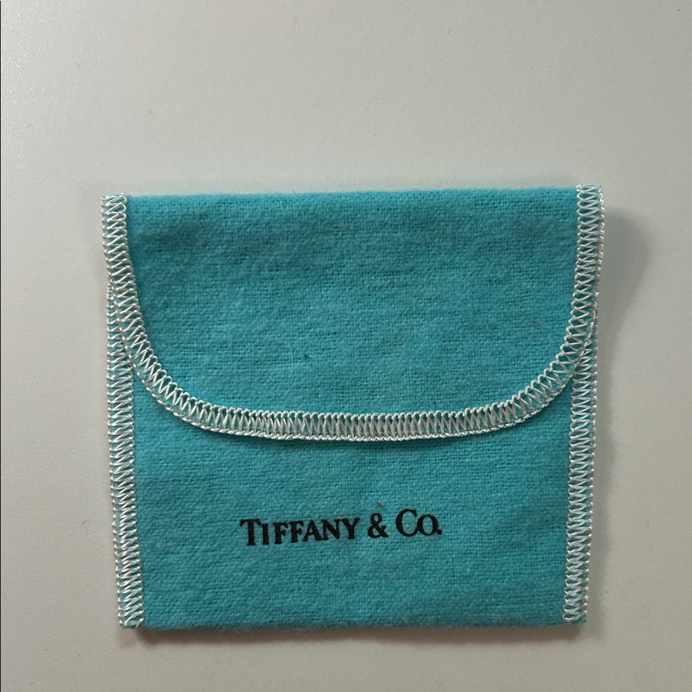Tiffany & Co. Turquoise Pouch with White Trim
